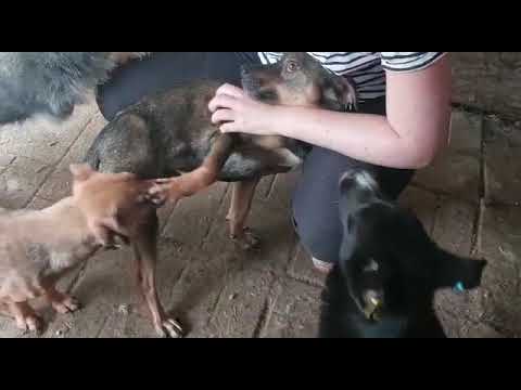 NOSHI - Ausgereist 29.07.2022