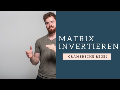 Matrix invertieren (Cramersche Regel)