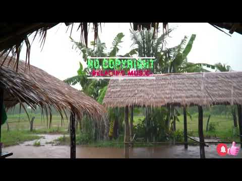 No Copyright | Free Music #shorts #viral #Mulita #lyrics #song #music #relaxing