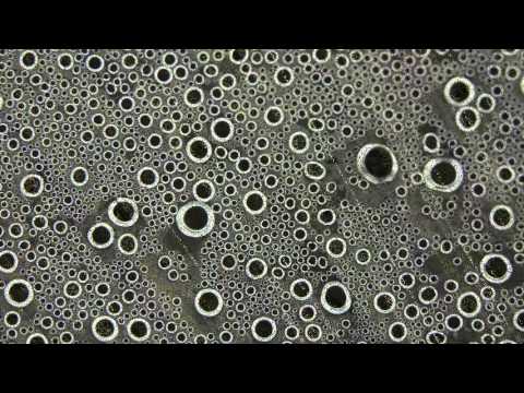 Athaka Selawena Laa Dalu - අතක සෙලවෙනා ළා දලු