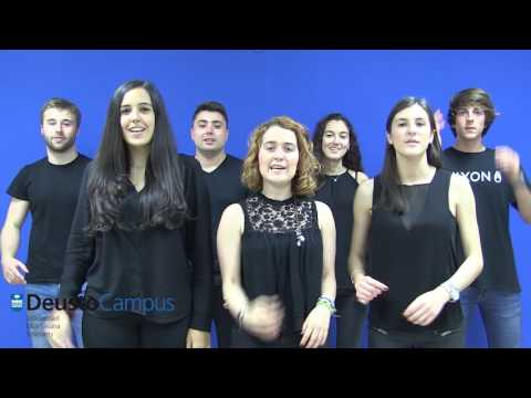 Cómo signar Universidad en LSE