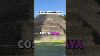 Cruise Excursion Shorts - Chacchoben Mayan Ruins in Costa Maya Mexico from Viator