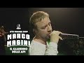 Marco Masini - Il Giardino Delle Api (Official video Live Un palco lungo… 20 anni!)