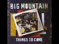 Big Mountain - Touched
