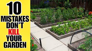 Are You Making These 10 Raised Bed Errors? EASY TO FIX