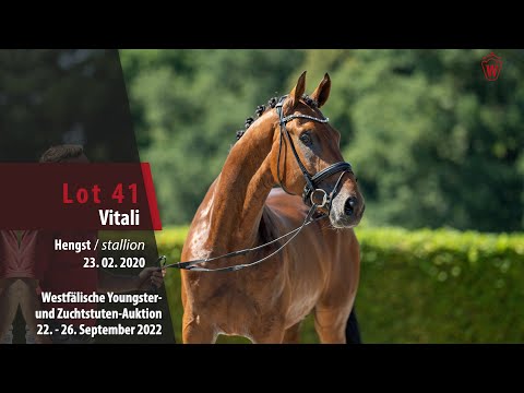 Online-Auktion Lot  41 Vitali Hengst v. Vitalis - Fidermark