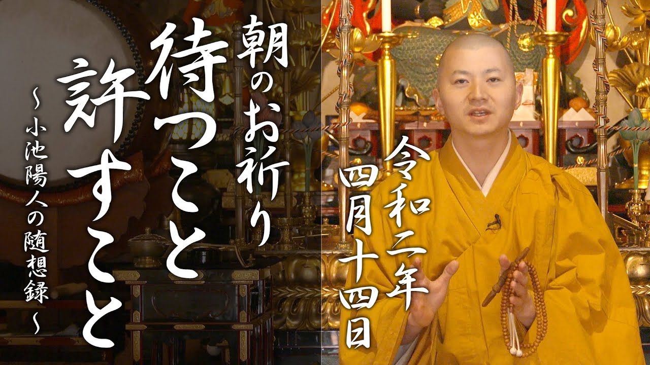待つこと許すこと：朝のお祈り(2020/4/14)