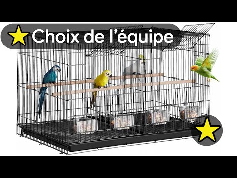 🏆 TOP 3 MEILLEUR CAGE POUR OISEAUX CANARIS 2025 🐦