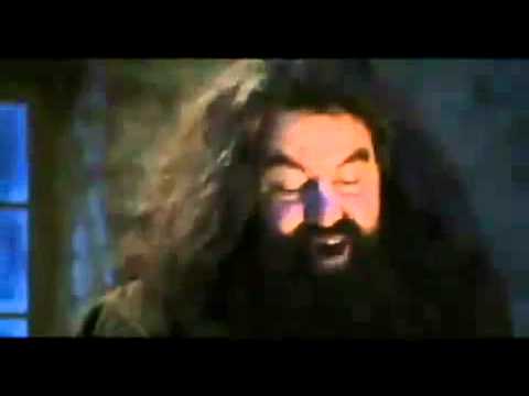 SolGibaut’s Video 18066441698 ooVcSO91C6I