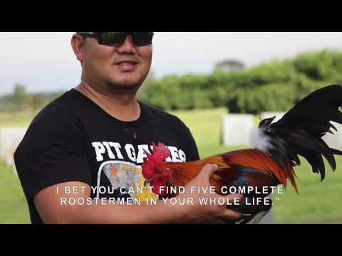 Green jeans farm / Larry Romero