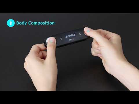 피트러스 플러스