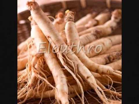 Radio interview with herbalist and owner of Community Herbal,s Heidi Berkovitz