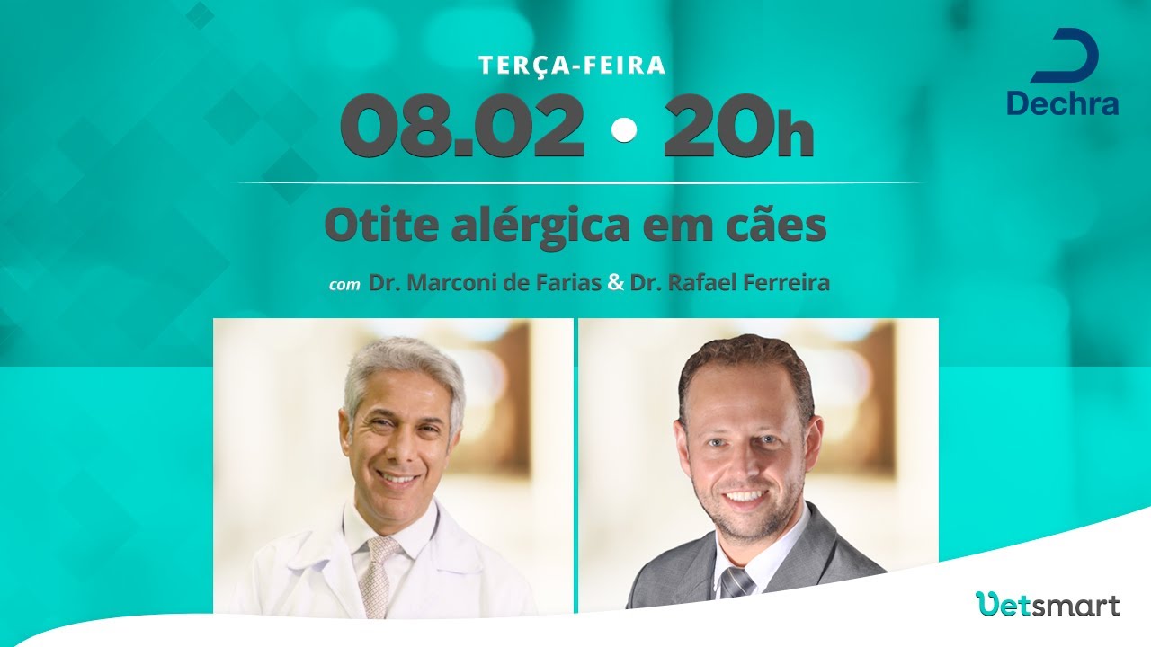 Otite alérgica em cães