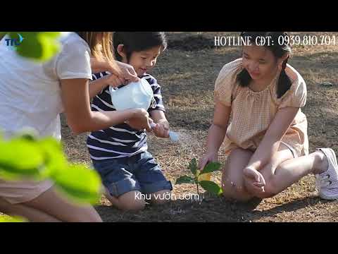 Biệt thự trên không - Panomax River Villa Đỉnh cao của đặc quyền riêng tư