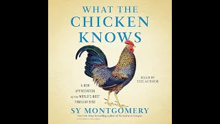 What the Chicken Knows