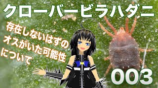 No.003 クローバービラハダニの話をします