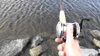 Abu garcia ambassadeur s 5501