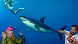 Divers React to shipwrecked survivor who watched friend get eaten by a shark