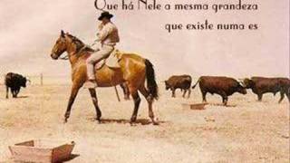 Campinos Do Ribatejo Lyrics English Translation