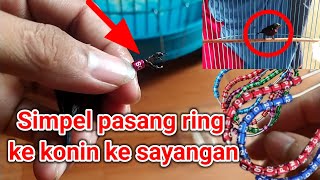 Download lagu How to install RING KONIN, WITHOUT HASSLE!! mp3 Download lagu How to install RING KONIN, WITHOUT HASSLE!! mp3