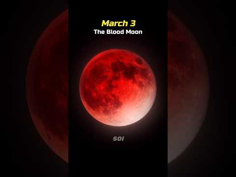 The crazy moon events in 2026 💀🌕 #shorts #space #astronomy #moon