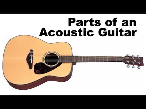 Parts of an Acoustic Guitar Tutorial for Beginners (Guitar Lesson)