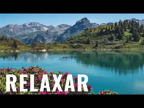 5 Horas de Música Relaxante - Som de Água Corrente, Pássaros. Relaxar, Acalmar e Dormir