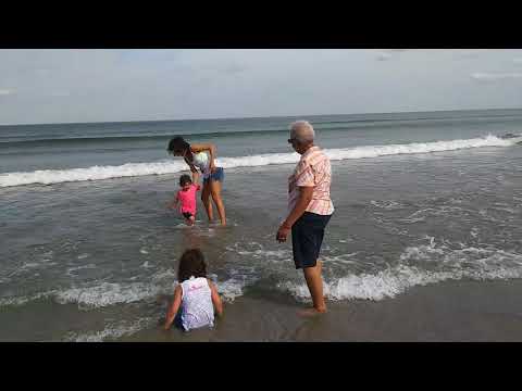 Hampton Beach tia nereyda