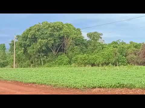 Assentamento três pontes, em Perolândia Goiás 
