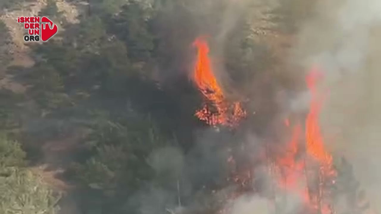 Belen Çerçikaya’da Orman Yangını çıktı!
