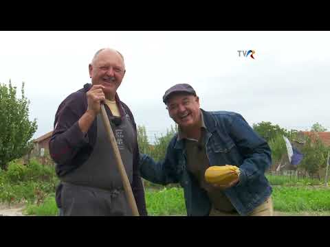 Cum ne-a fost vorba la Beregsău Mare, județul Timiș #GraiulBanatean @TVRTM