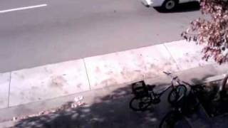 Marcy playground Gone Crazy