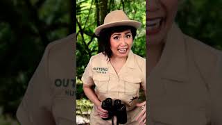 Meeple University - The Search for Lost Species video thumbnail