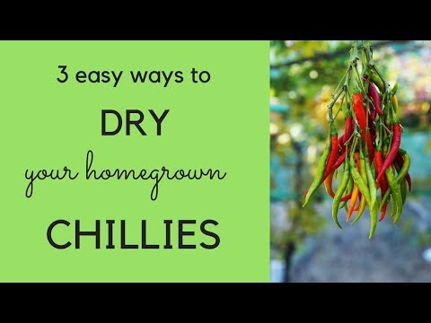 How to dry chillies