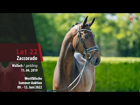 Sommer-Auktion Lot 22 Zaccorado Wallach v. Zoom - L´Espoir