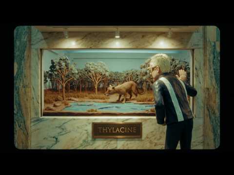 Night Time Stories and Alexis Taylor