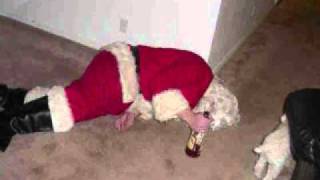 Dwight Yoakam - Santa Can't Stay