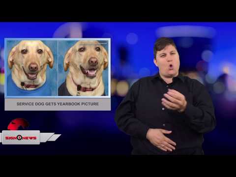 Service dog gets yearbook picture (ASL - 6.4.18)