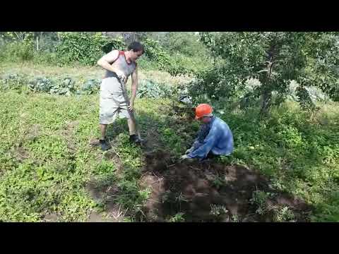 С другом веселее !