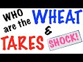 Wheat & Tares: Shocking Truth