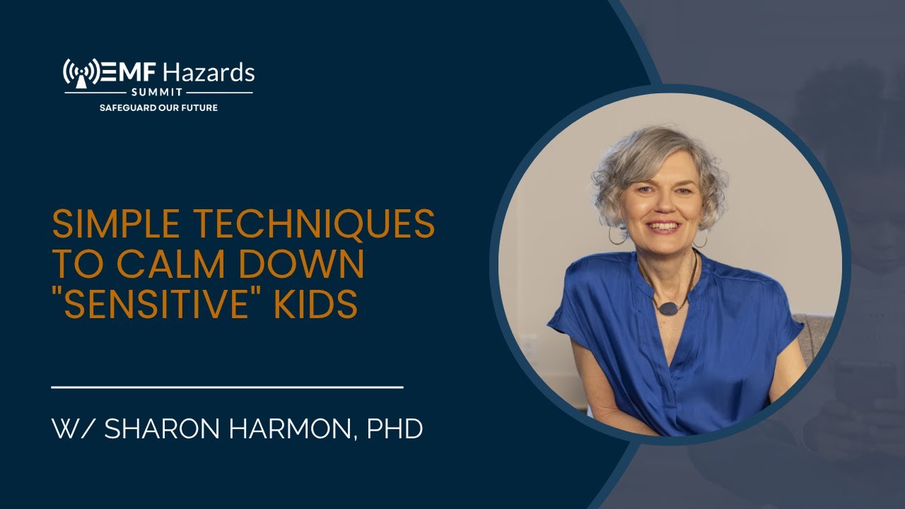 <span class="numbers">15</span>  Simple Techniques To Calm Down "Sensitive" Kids - Sharon Harmon, PhD