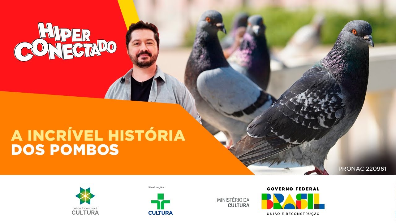 A INCRÍVEL HISTÓRIA DOS POMBOS | Hiperconectado