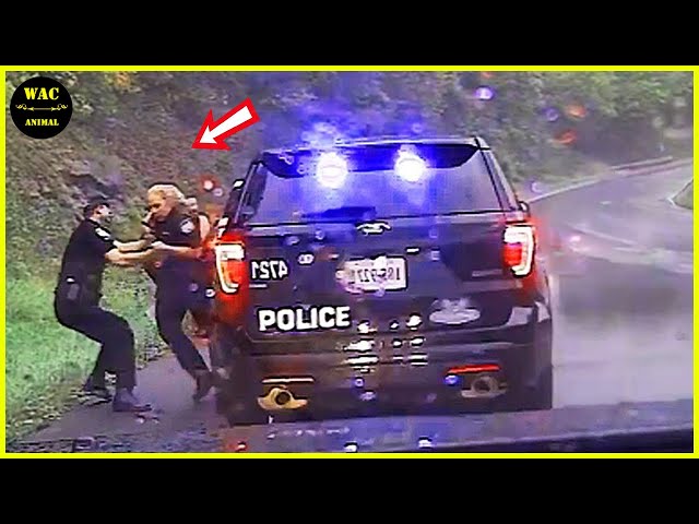Random Acts of Kindness That Will Make You Cry 😭! Best Moments of 2025 #43 SDDEFAULT Thumbnail