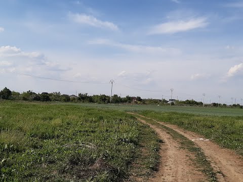 Teren aproape de Bucuresti langa padure — Video