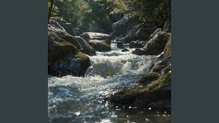 Download lagu Ditepian kuberlayar mp3 Download lagu Ditepian kuberlayar mp3