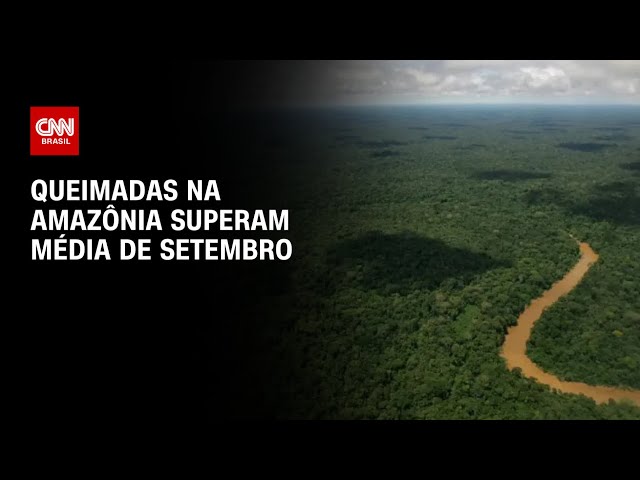Queimadas na Amazônia superam média de setembro | CNN PRIME TIME