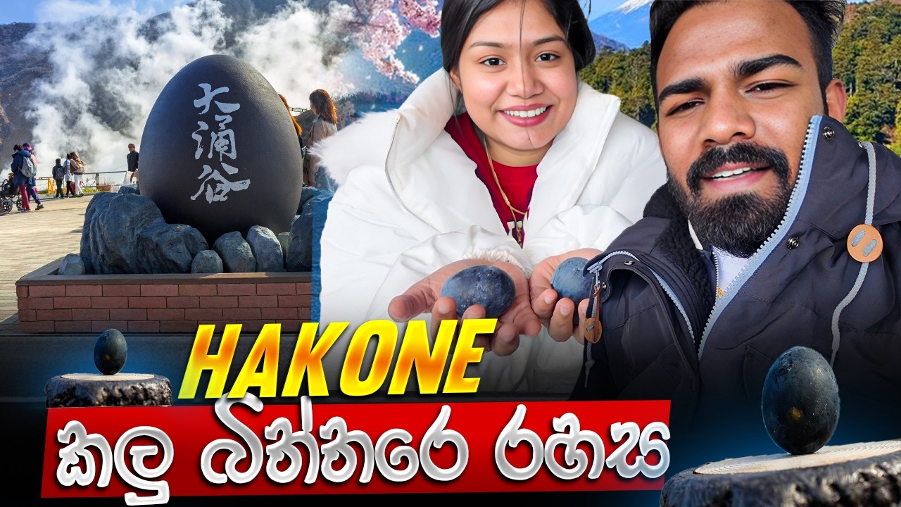 Hakone 🇯🇵 කලු බිත්තරේ 🥚 | ජපානේ Hotel නම් හරිම වෙනස් 🏨✨