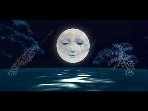 SIG RAGGA - La luna y el castor