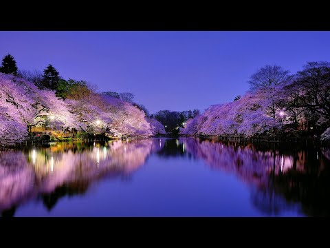 Nea - Some Say (MeoplleX Remix) [Im Blue Remix]