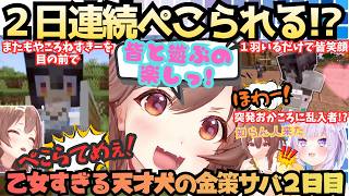 【ホロ金策サバイバル2】ころさんがエリトラ飛行!?ソロからおかころそして笑顔お届けスバルと皆とダンジョン攻略を満喫するもフワモコにはサンタになる宝石にうきうき犬のDay2【戌神ころね／大空スバル】